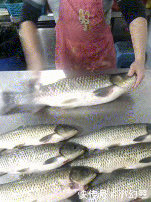 本来|爆笑GIF:本来是很喜庆的场面,你一来搞笑就尴尬了