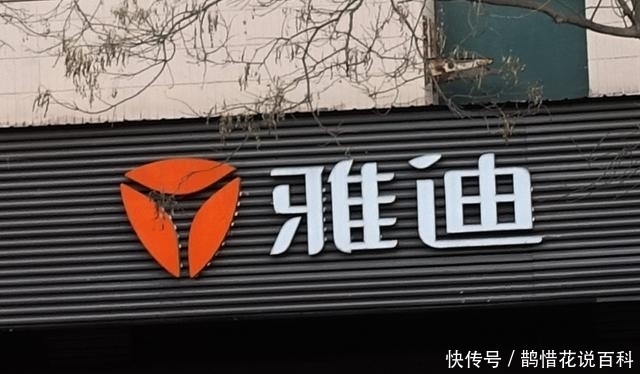 产品|维权不是雅迪的遮羞布