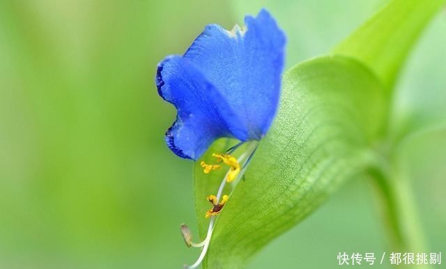 匆匆|感叹岁月匆匆,悲秋伤春自古皆然