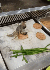 GIF|搞笑GIF:姑娘,你以为真是对你好啊!只是坑你而已!