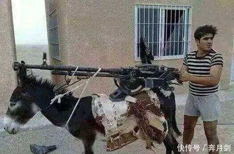 政治|军事搞笑系列,带你感受别样的欢乐