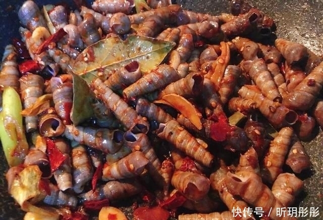  钉螺|香辣钉螺（海锥）的做法+配方，味道非常鲜美，解馋最好了