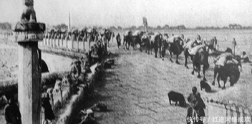 农民|日本农民挖出一块金印,上面只有六个大字,却让日本专家又羞又气