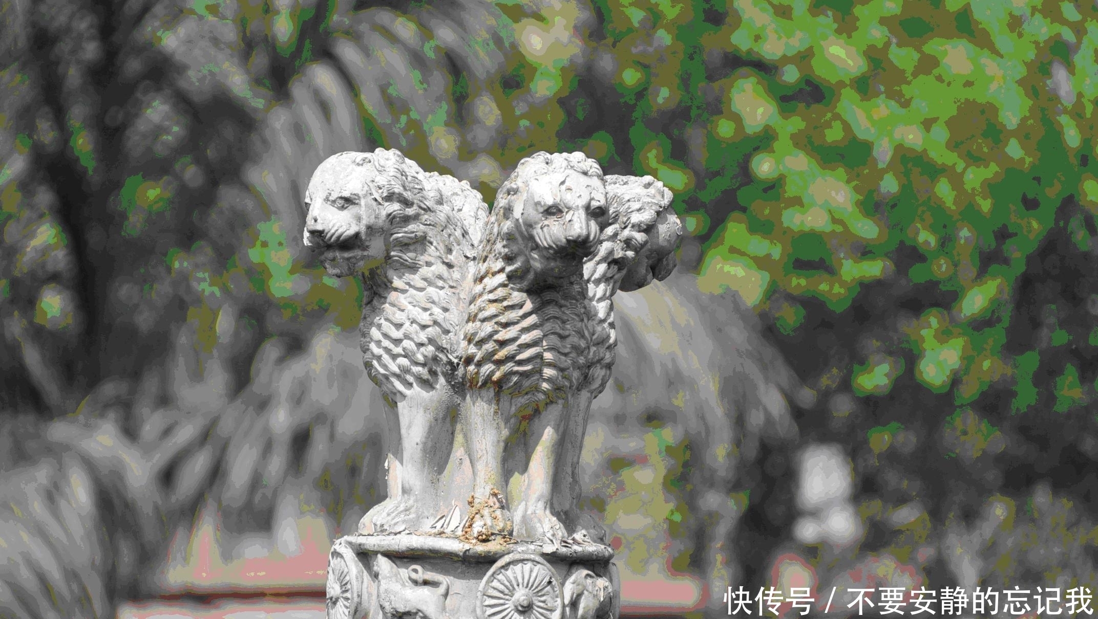 结局|印度为何很少吃牛肉,那些在大街随意溜达的牛,最终结局如何