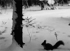 搞笑|搞笑GIF:我想知道这个是怎么开上去的?