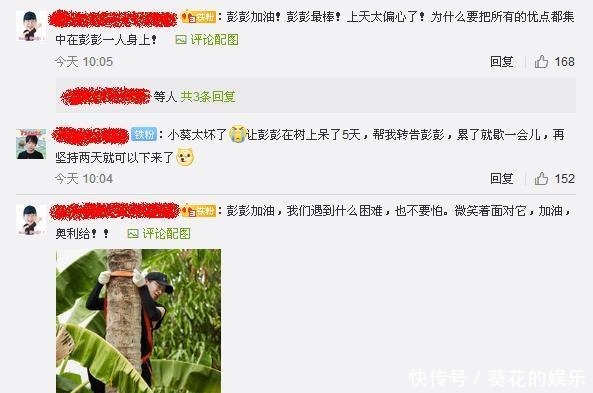 椰子树|官微说想念彭昱畅,网友让彭昱畅再坚持两天!发生了啥