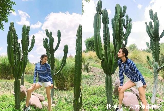 搭配|你那里入秋了吗?是时候穿长袖衫了,清新好看还能显高