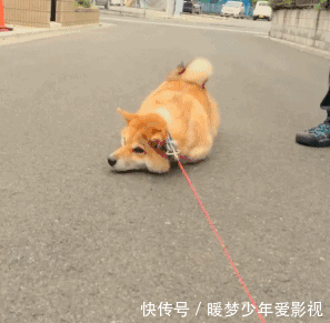 泡泡浴|“第一次在女友家洗泡泡浴,打开浴室门没想到...”画面太美不敢看,哈哈哈哈