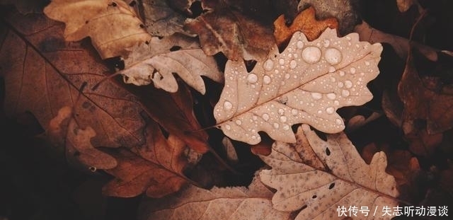 句句|宋代诗人很豪放的一首词,句句豪横的不得了,最后9字却转为心酸