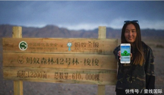 泪目|5.5亿国人参与,马云花巨资打造的蚂蚁森林,2020现状令人泪目