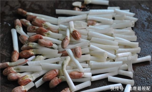 维生素C|这种芽营养高,敢吃的人却不多,市场上不常见,自己做吧,挺简单