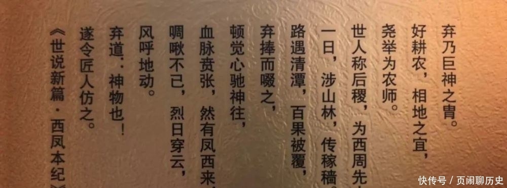 西凤酒|太白酒与西凤酒有多大的差距?