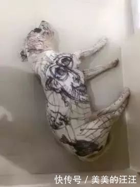  孩子|揭秘：为什么狗狗和小孩玩得来？两者间的“神奇关系”很有趣！