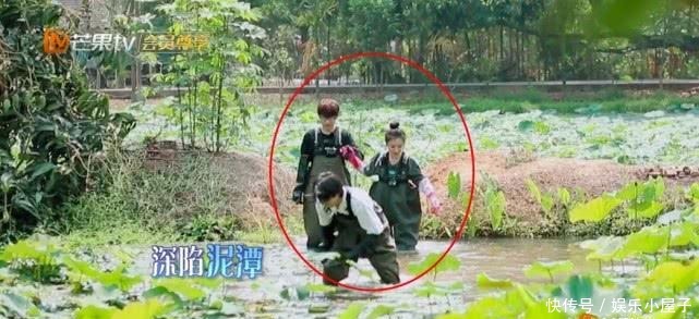 播片|《向往的生活》未播片段长达一小时,宋威龙摸河蚌,汪苏泷又偷懒