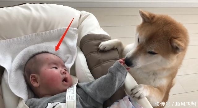 狗子|放宝宝和狗子单独在家,推开门一看不忍心打扰:太暖心了吧?