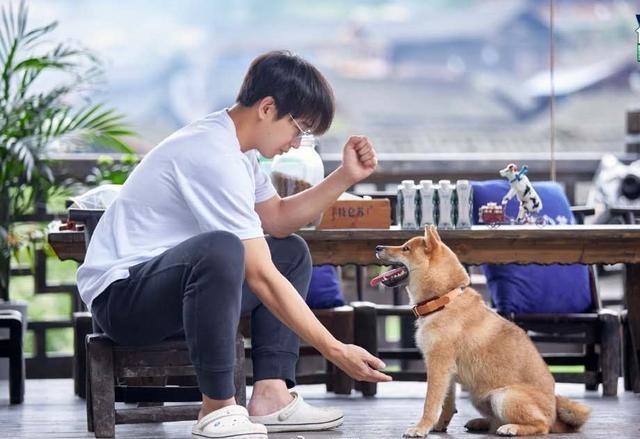 小鲜肉|黄磊拍《向往的生活》瘦了20斤,看看他做的美食,我也想试试了