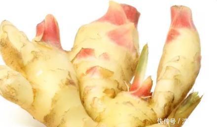 简单|仔姜配上肉丝,炒出来又香又下饭,关键做法太简单了