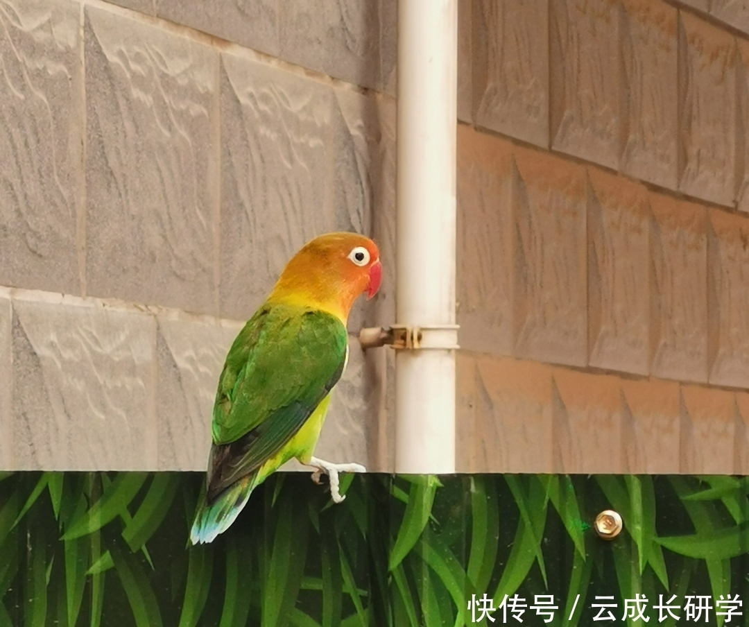 圆满结束|“大兵小将”两天一夜亲子活动圆满结束!