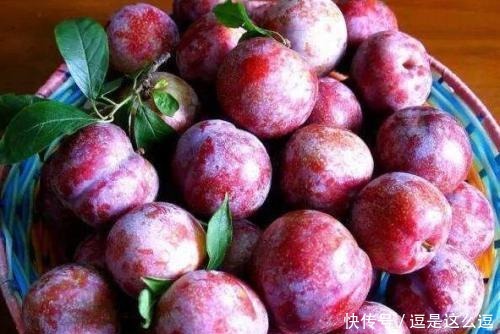 富贵|芒种前,不论贫穷或富贵,多吃这5种水果,顺应时节身体倍棒!