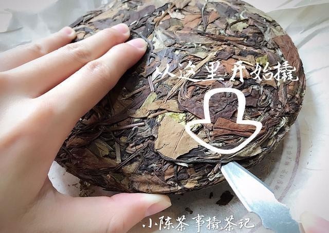 别一|白茶饼一撬就碎的秘密,你知道几个?别一撬碎就怪品质不好