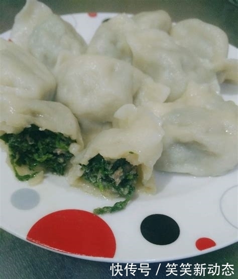 营养|30年头一回用此菜包饺子,鲜美诱人营养,一顿50个饺子嫌不够