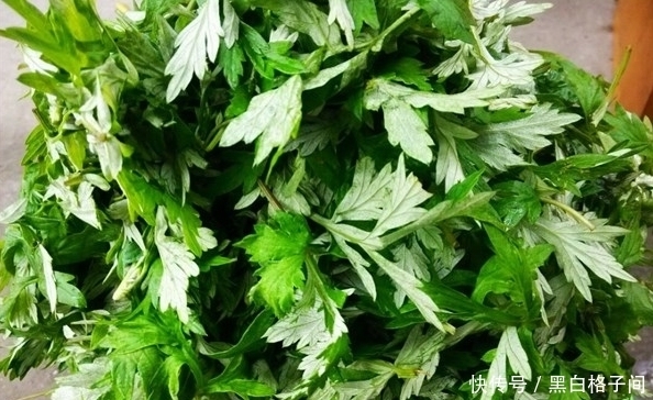  女性|艾叶被称为女性“养生草”，4大好处让人惊喜，可惜很少人知道！