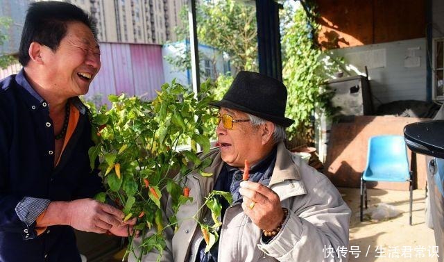 辣王|中国辣王每天把辣椒当饭吃 是饭馆最不欢迎的人|百家故事