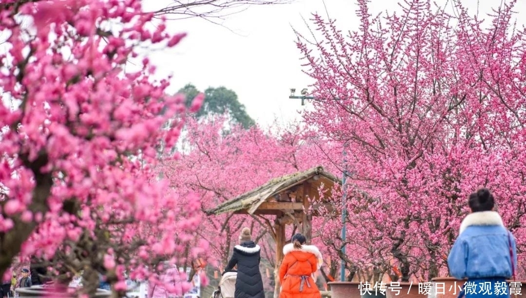 浅谈|浅谈秀丽东方IP对成都公园城市建设的借鉴作用