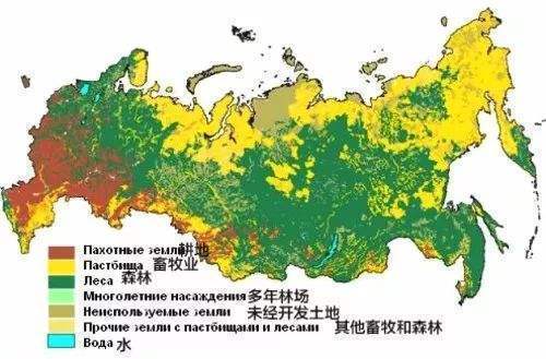  邻国|50万公顷土地借给中国后，邻国又有新动作，大量食用油运来我国