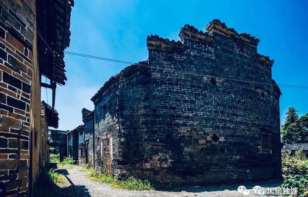  林泉|朱虹 林泉：王阳明在南赣