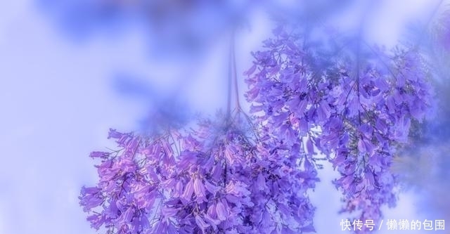 低层次|别去跟低层次的人争辩