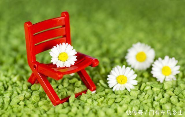 这件|这件事大包大揽,就是没原则,没底线,伤害的是自己