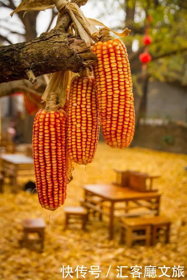  西双版纳|这个被各大热门综艺独宠的宝藏省份，真是仙到要疯！