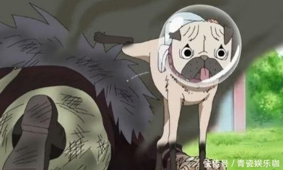  路飞|海贼王：最厉害的“3只狗”，一只皇副级别，一只路飞也向它下跪！