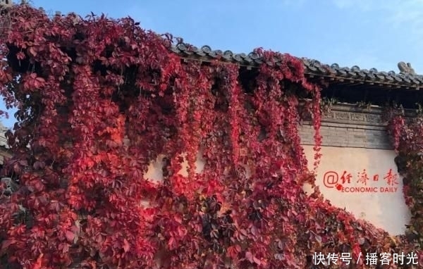 回复|10条知乎神回复,看完豁然开朗