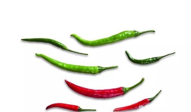 辣椒|《中国辣椒报告指南》辣椒达人细数地方名辣,品鉴中国最热辣椒