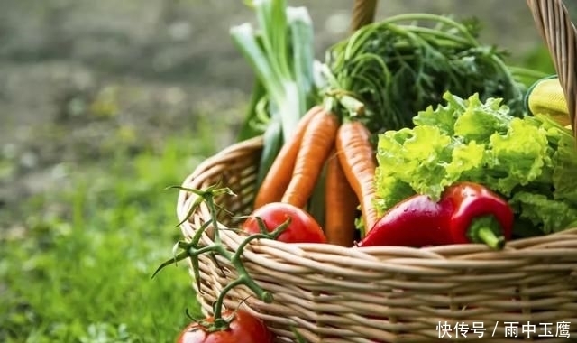  在家|在家种个菜都这么美，还要什么花园？