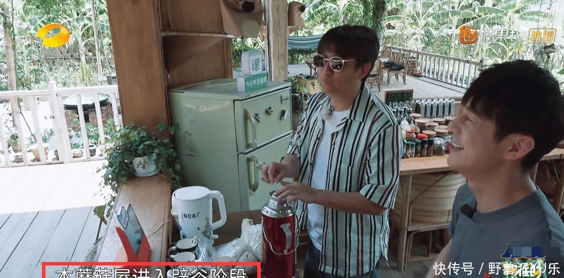 彭昱畅|节目四十度高温,黄磊何炅不想干活,彭昱畅冒险摘椰子背负了太多