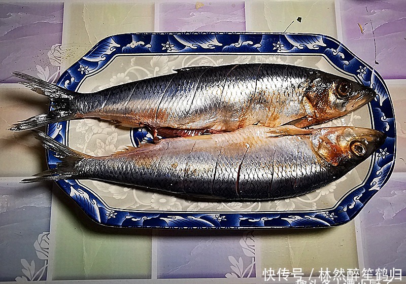 市场|逛海鲜市场,碰上此鱼每次都买,3块钱一斤,比带鱼便宜又好吃