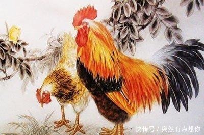 生肖|天生“少奶奶命”的三大生肖女,长相一般却很旺夫,大富大贵