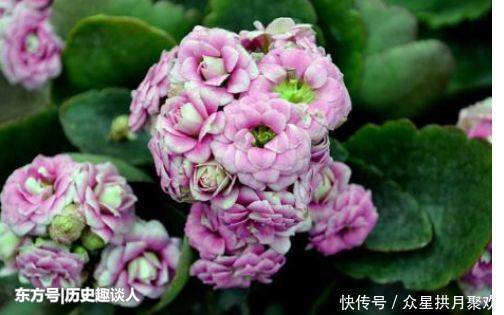 老公|最会心疼自己老公的三大生肖女,温柔细腻,体贴包容