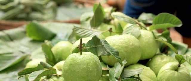 水果|南方特有的水果,北方人不敢下口,南方人却爱不释口