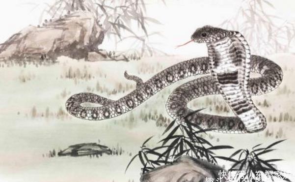 老公|谁老公是这4大生肖之一，别再嫌他穷，40岁后一路富贵