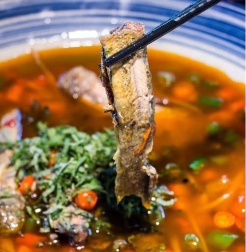 比肉|最好吃的鱼,营养是甲鱼8倍,16块钱一斤,比肉便宜无人买