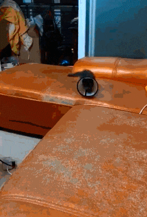 段子|搞笑GIF段子:老婆,你这笑容我看发慌,有啥你就直说吧