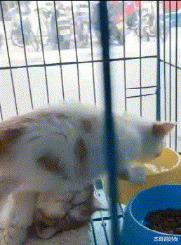 妹子|“妹子,你腰上的纹身真有个性,看得我脸红了”好一个出入平安啊哈哈哈