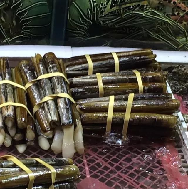 海鲜|世界上65种珍奇海鲜,贝爷都不敢说全部吃过,你吃过几种