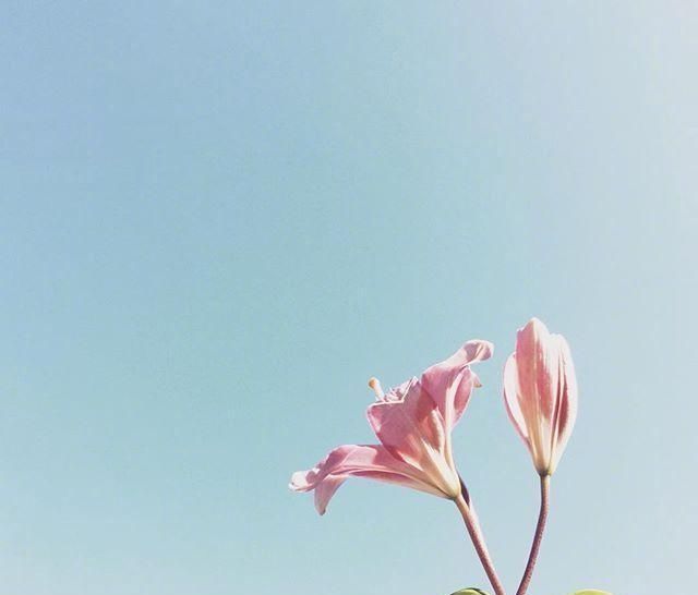  阳光|早安心语正能量阳光说说，开启元气满满的一天