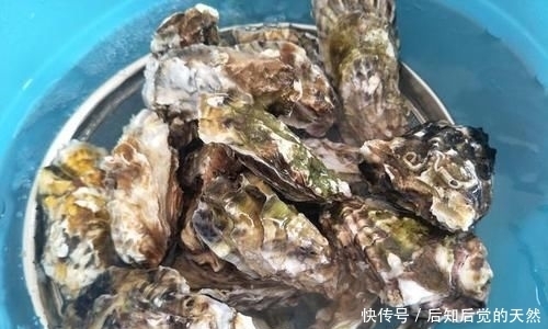  诱惑|美食诱惑，蒸生蚝，冷水下锅还是热水下锅，蒸几分钟？做好了鲜美好吃