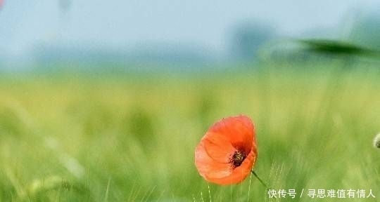 受益|简单朴素的名言,悲痛欲绝,使人终生受益